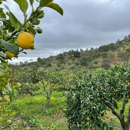 Quinta Nova